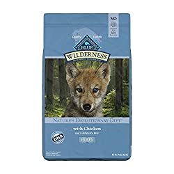 1673041468 755 Top 10 Best Food for Pomeranian Puppies
