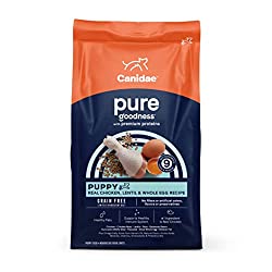 1673041479 222 Top 10 Best Food for Pomeranian Puppies
