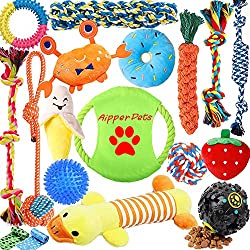1673449241 826 Top 12 Best Chew Toys for Pomeranian Puppies