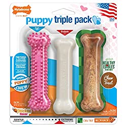 1673449242 766 Top 12 Best Chew Toys for Pomeranian Puppies
