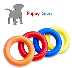 1673449243 965 Top 12 Best Chew Toys for Pomeranian Puppies