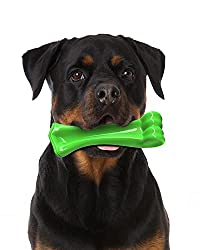 1673449244 28 Top 12 Best Chew Toys for Pomeranian Puppies