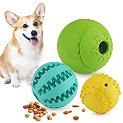 1673449245 171 Top 12 Best Chew Toys for Pomeranian Puppies