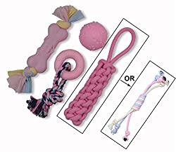 1673449247 304 Top 12 Best Chew Toys for Pomeranian Puppies