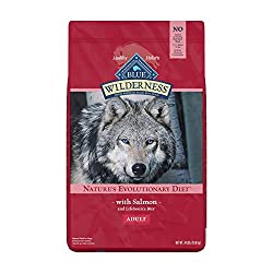 1673597141 245 Top 8 Best Food for Pregnant Pomeranians