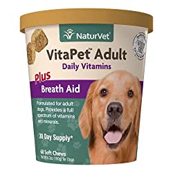 1673655568 96 Top 6 Best Prenatal Vitamins for Dogs