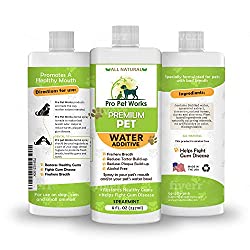 1673706985 215 Top 8 Best Dental Water Additives for Dogs