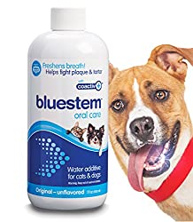 1673707006 302 Top 8 Best Dental Water Additives for Dogs