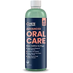 1673707016 179 Top 8 Best Dental Water Additives for Dogs