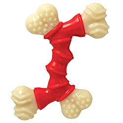 Top 12 Best Chew Toys for Pomeranian Puppies