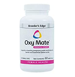Top 6 Best Prenatal Vitamins for Dogs
