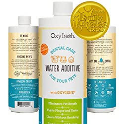 Top 8 Best Dental Water Additives for Dogs