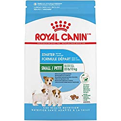 Top 8 Best Food for Pregnant Pomeranians