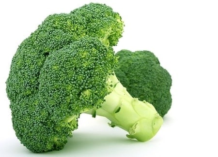 25 Most Healthy Human Food for Pomeranians 18 Broccoli