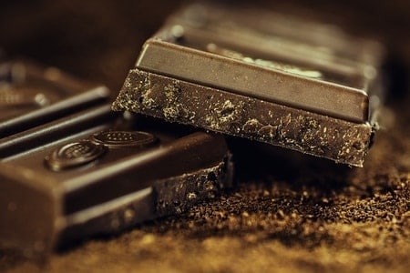 What Food Can Pomeranians Not Eat? (30+ Risky Ingredients) 11 Chocolate