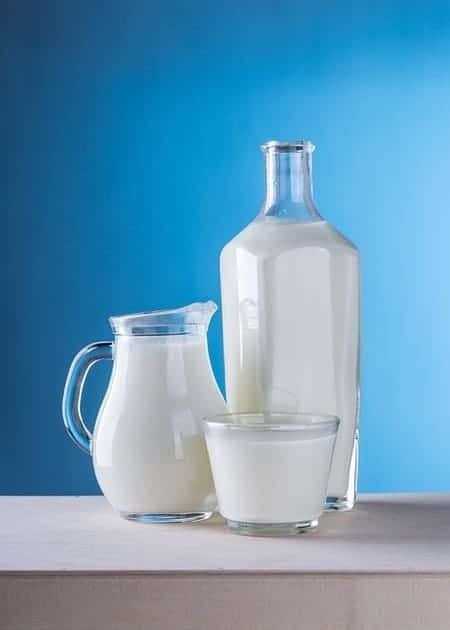 What Food Can Pomeranians Not Eat? (30+ Risky Ingredients) 20 Milk