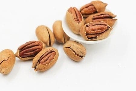 What Food Can Pomeranians Not Eat? (30+ Risky Ingredients) 24 Pecans