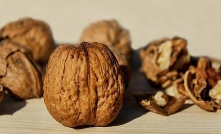 What Food Can Pomeranians Not Eat? (30+ Risky Ingredients) 25 Walnuts