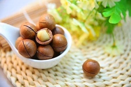 What Food Can Pomeranians Not Eat? (30+ Risky Ingredients) 26 Macadamia nuts